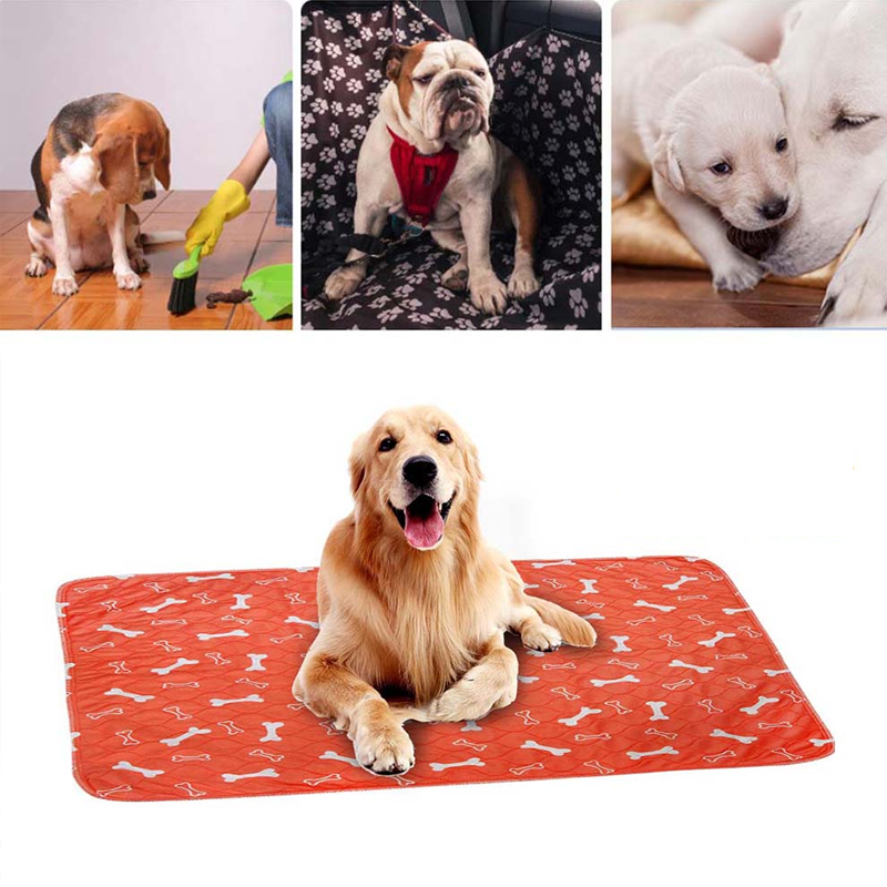 Lunesouri - Tapis Imperméable Lavable Pour Chien