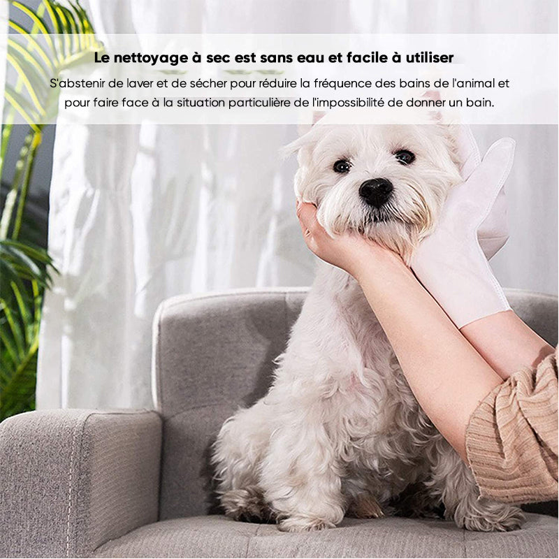 Lunesouri - Gants pour animaux de compagnie sans lavage