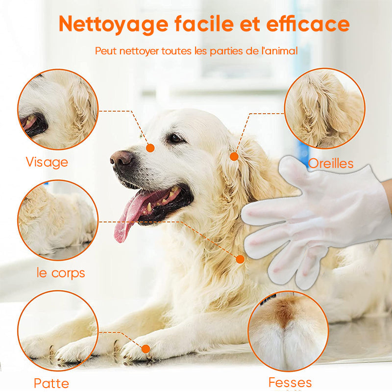 Lunesouri - Gants pour animaux de compagnie sans lavage