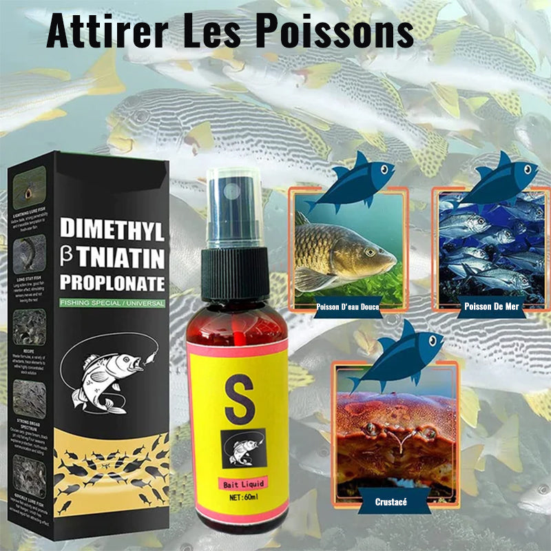 Lunesouri - Attractifs pour poissons parfumés pour appâts