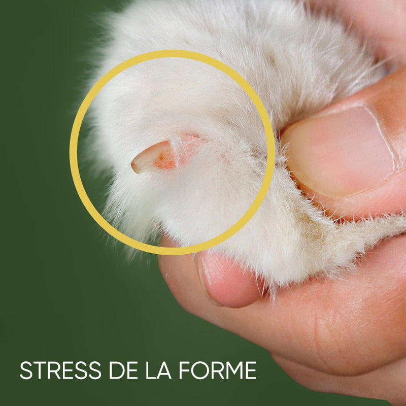 Lunesouri - 🐾Coupe-ongles efficace pour animaux de compagnie