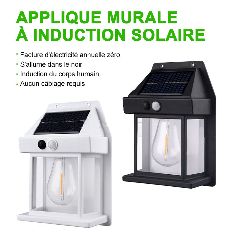 Lunesouri - 🌈✨Applique murale solaire en tungstène pour l'extérieur✨