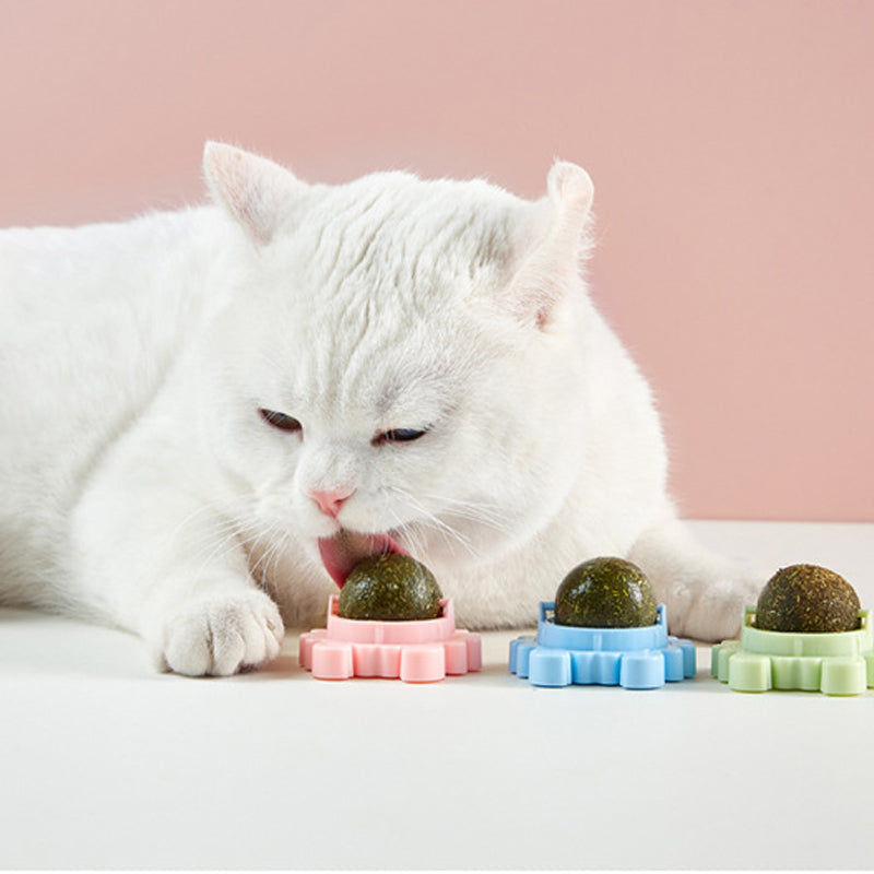 Lunesouri - Balles d'herbe à chat - Jouets pour chat