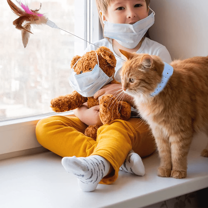 Lunesouri - Jouets interactifs amusants pour chats